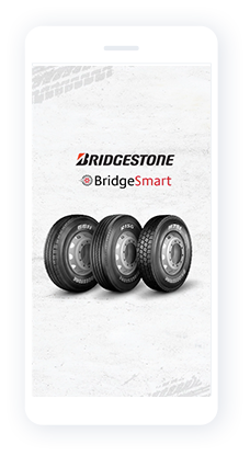 Bridgesmart