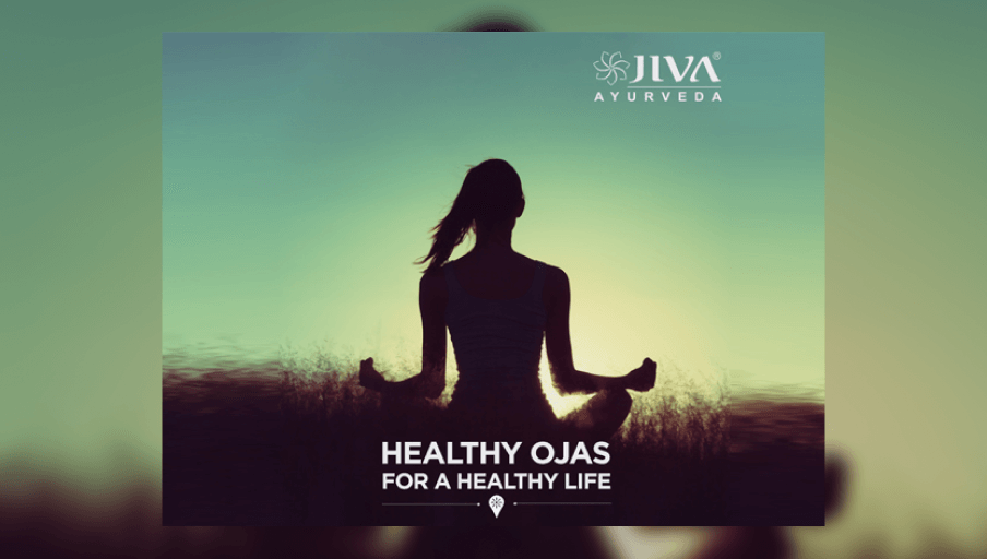 Always-On Engagement: Jiva Ayurveda’s Strategy to Capture and Convert