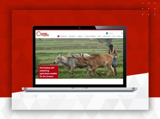 Empowering Growth: CAPL's Digital Strategy for Inclusive Impact